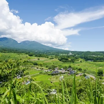 里山エリア