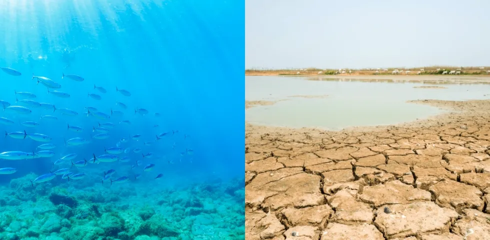 生物多様性の損失とその重要性