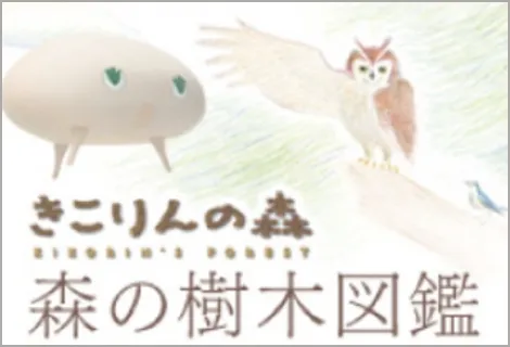 きこりんの森　森の樹木図鑑