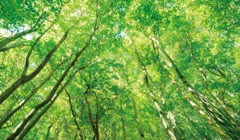 住友林業グループ環境方針