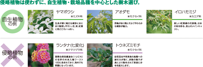 侵略植物は使わずに、自生植物・栽培品種を中心とした樹木選び。