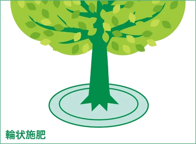 輪状施肥
