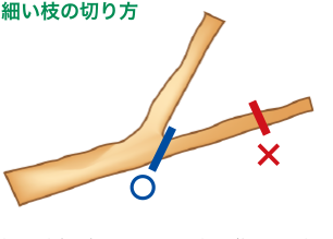 細い枝の切り方イメージ