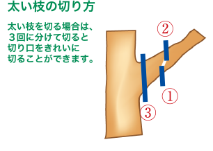 太い枝の切り方イメージ