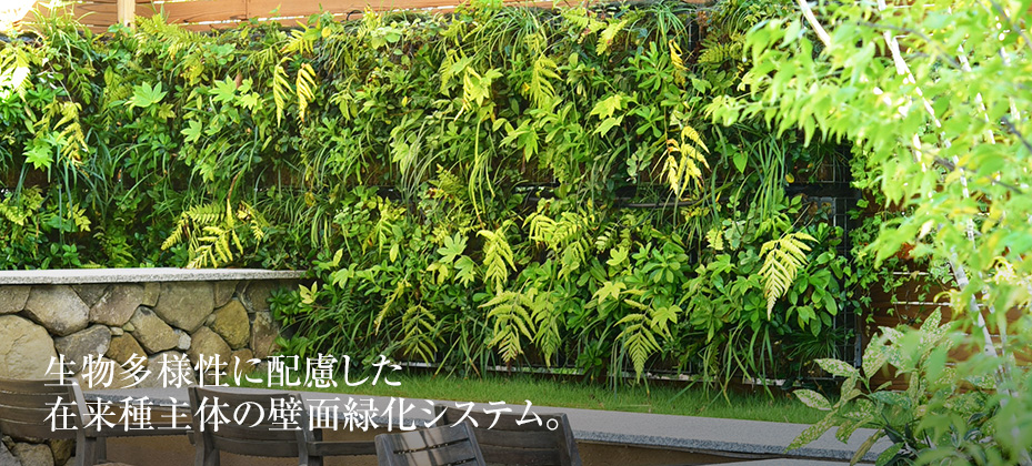 生物多様化に配慮した在来種主体の壁面緑化システム。