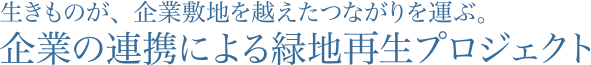 生きものが、企業敷地を越えたつながりを運ぶ。企業の連携による緑地再生プロジェクト