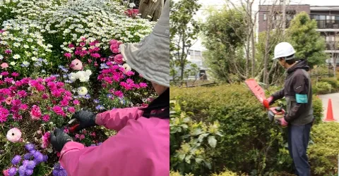 刈込・手入