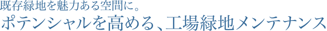 既存緑地を魅力ある空間に。ポテンシャルを高める、工場緑地メンテナンス