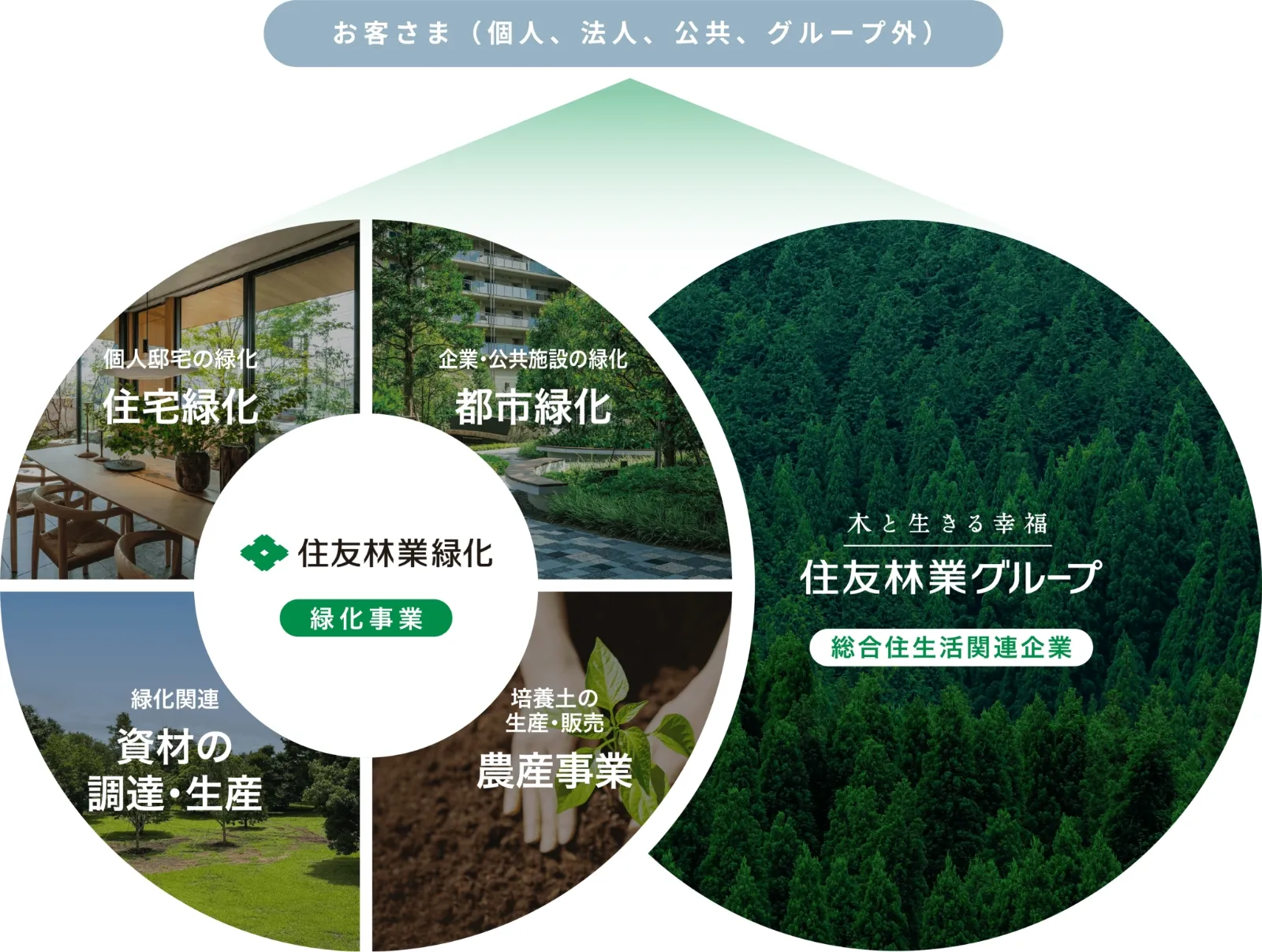 住友林業グループにおける住友林業緑化