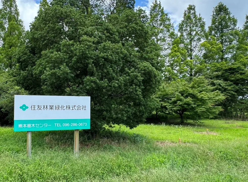 樹木の取り扱いについて