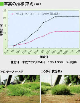 ウインターフィールド®―省管理コウライシバ―緻密・省管理