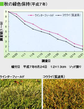 ウインターフィールド®―省管理コウライシバ―緑色保持