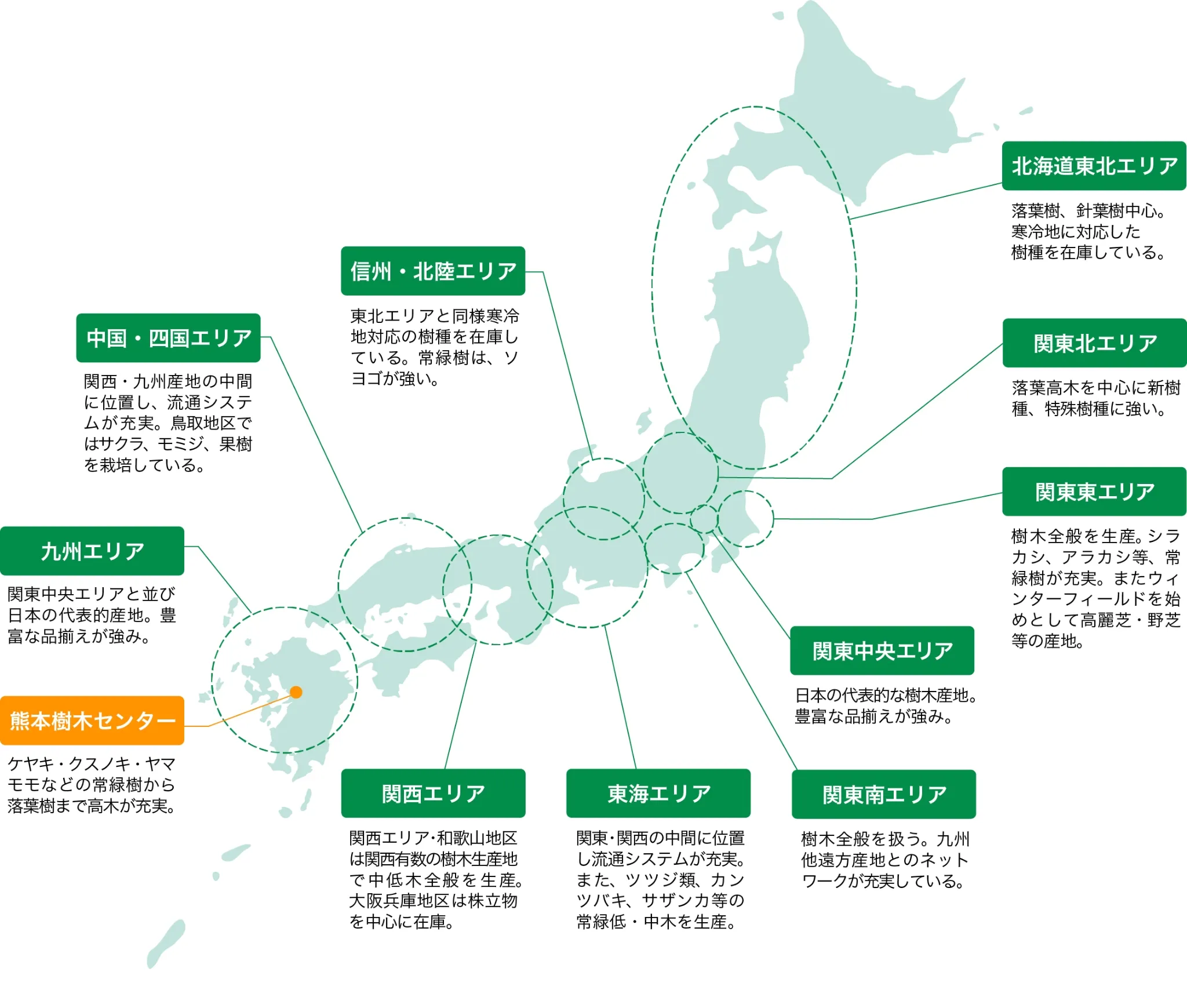 樹木の取り扱いについて