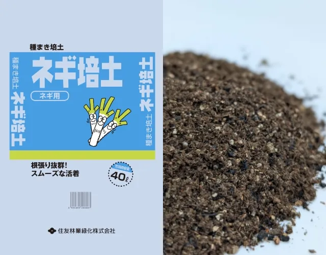 ネギ培土