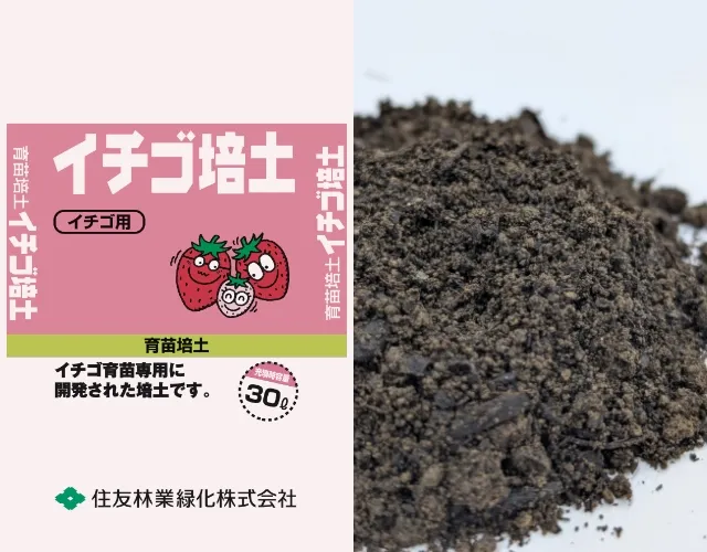 イチゴ培土