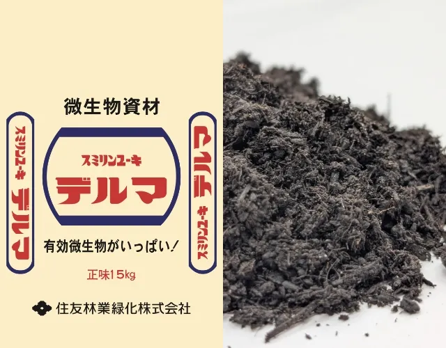 デルマ