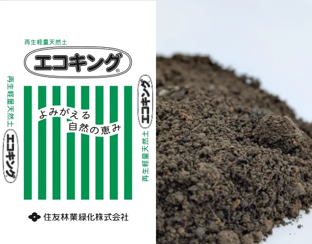 エコキング