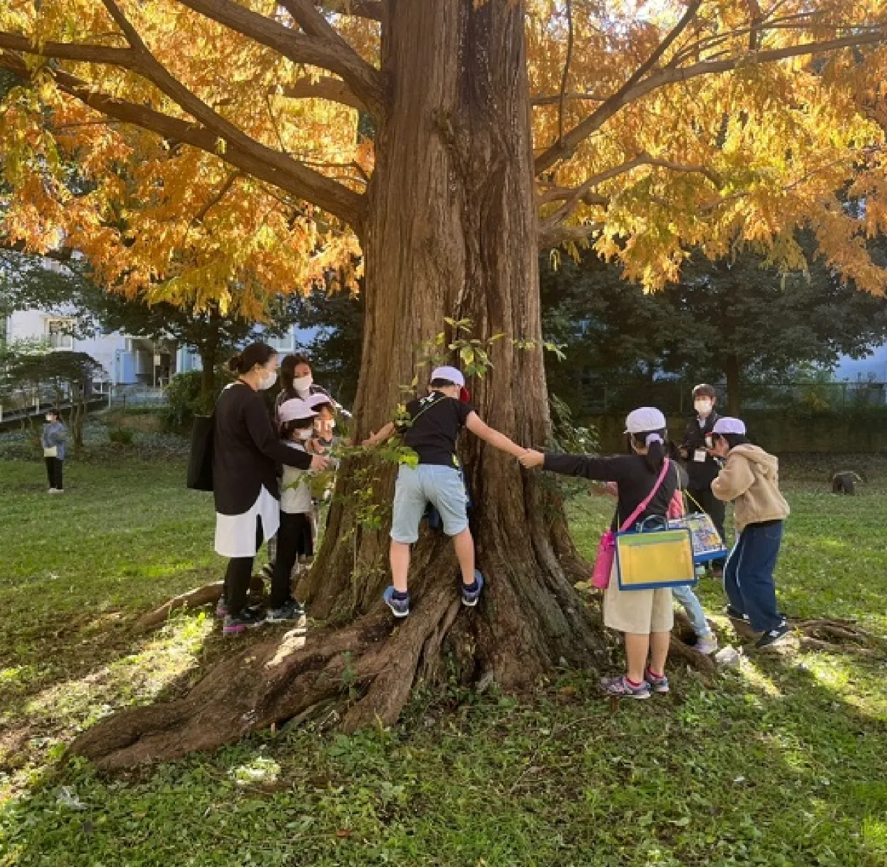 小学生向けガーデンツアー「みんなで幹回りを測定」