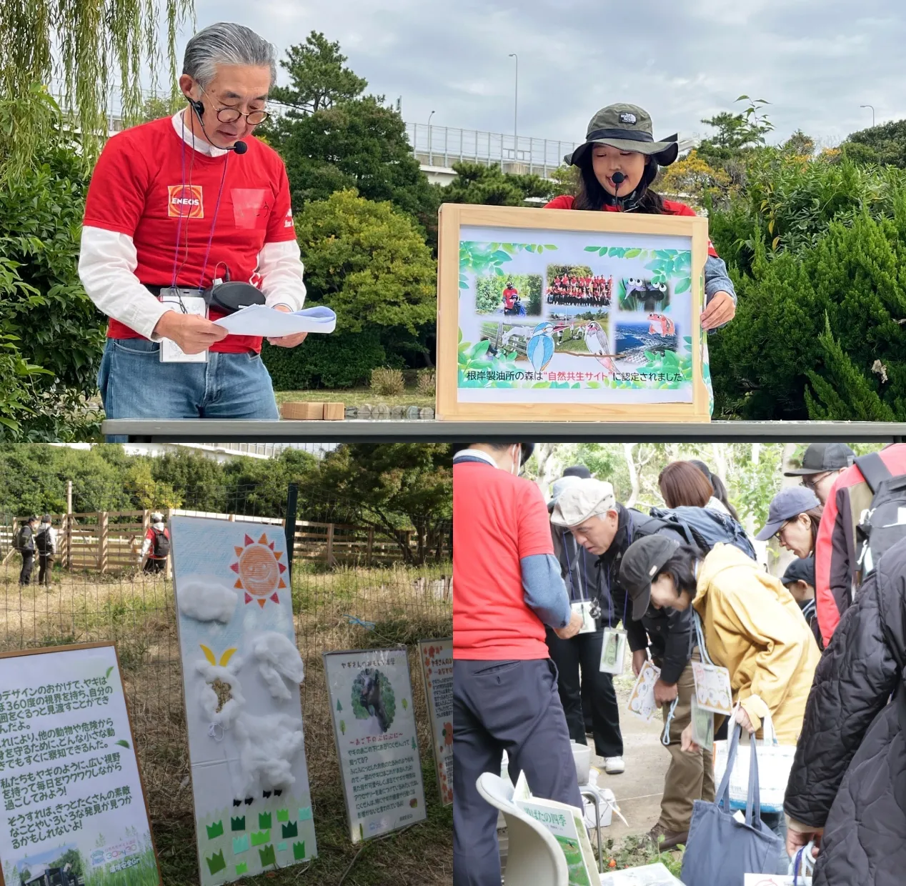 森とふれあい、学びを育む「エネ森フェア」