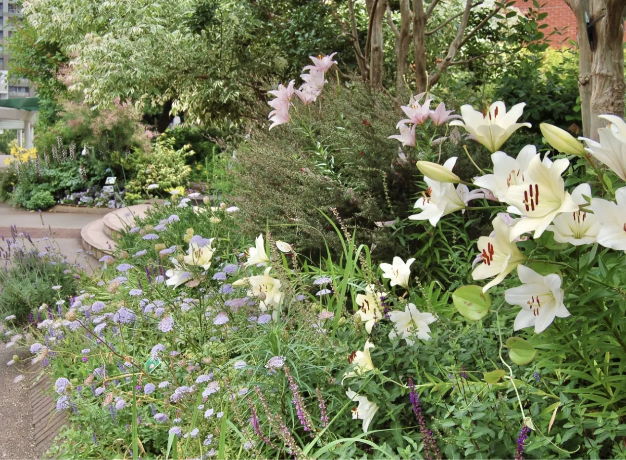 季節の花々が色とりどりの景観を作るガーデン