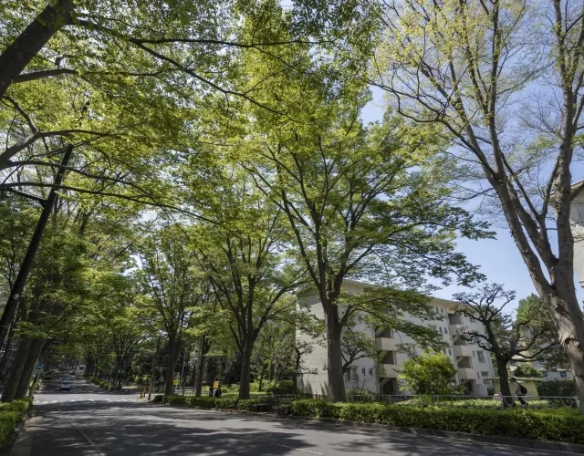 UR都市機構常盤平団地
