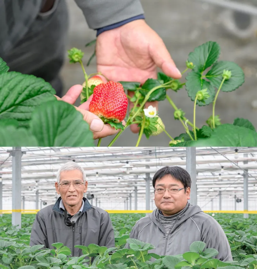 宮城県亘理町の農家・伊藤茂樹様、裕樹様